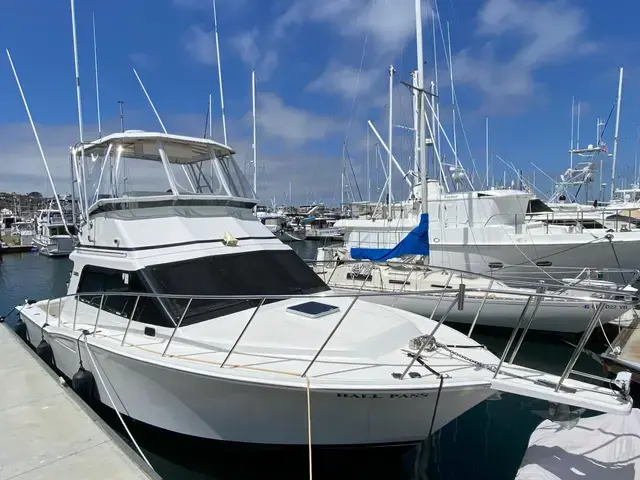 Cabo 35 Flybridge Sportfisher