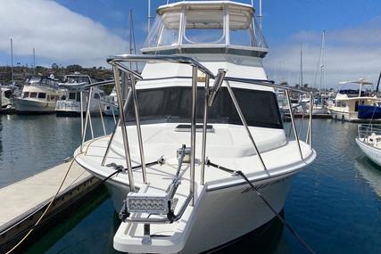 Cabo 35 Flybridge Sportfisher