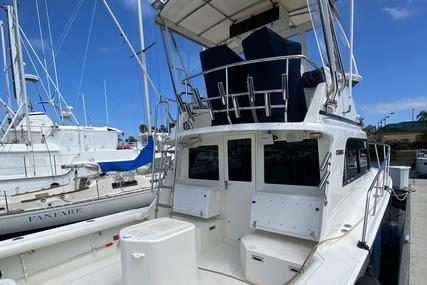 Cabo 35 Flybridge Sportfisher