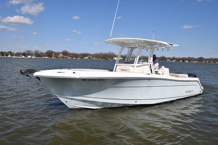 Robalo R300