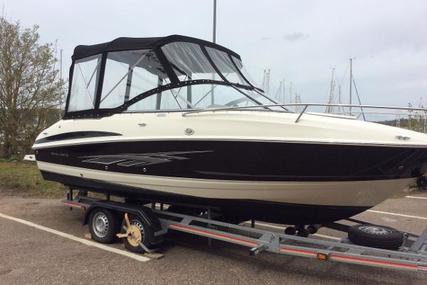 Bayliner 702 Cuddy