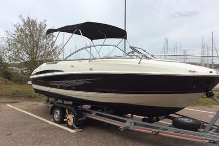 Bayliner 702 Cuddy