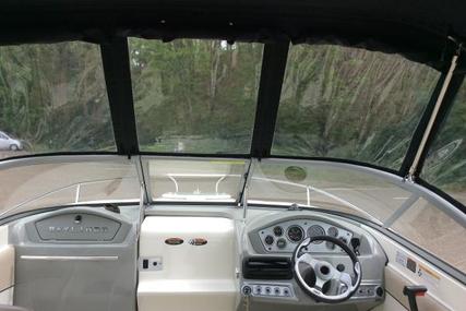 Bayliner 702 Cuddy