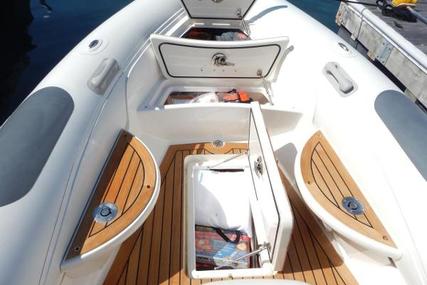 Pascoe 7.4 Meter Luxury Tender