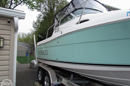 Robalo R225