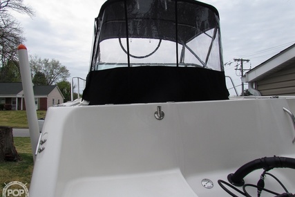 Robalo R225