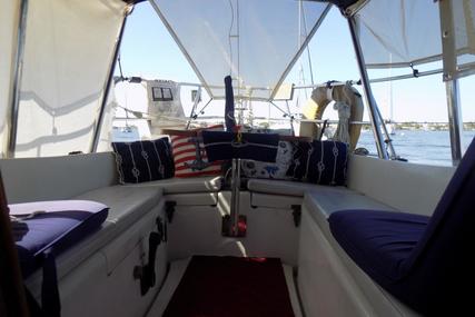 Pacific Seacraft Crealock 37