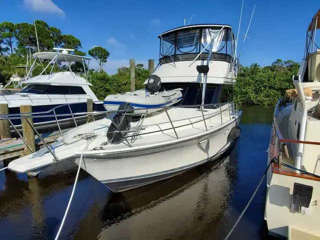 Catalina Islander 34