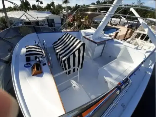 Burger Flybridge Motoryacht