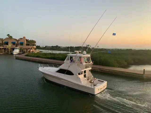 Riviera 42 Flybridge