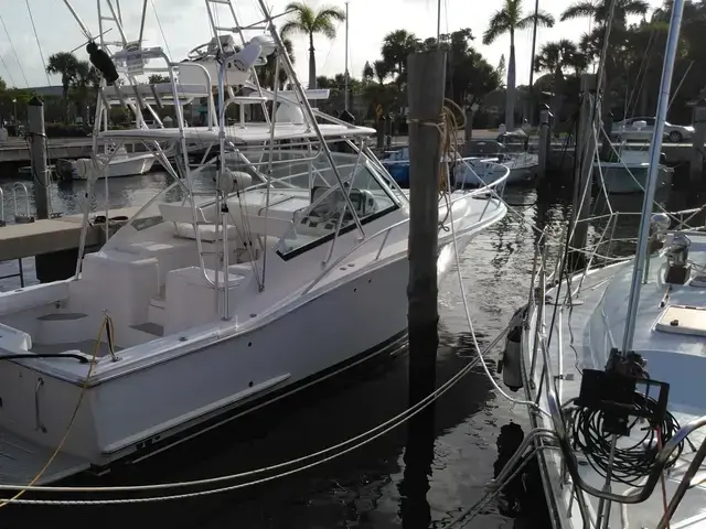 Luhrs 31 Open