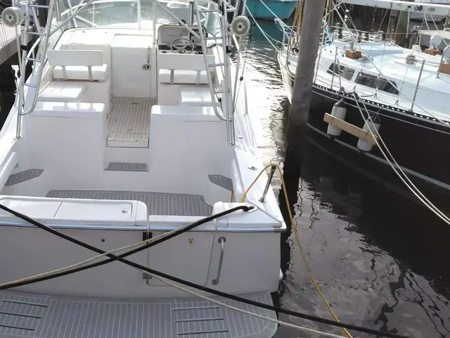 Luhrs 31 Open