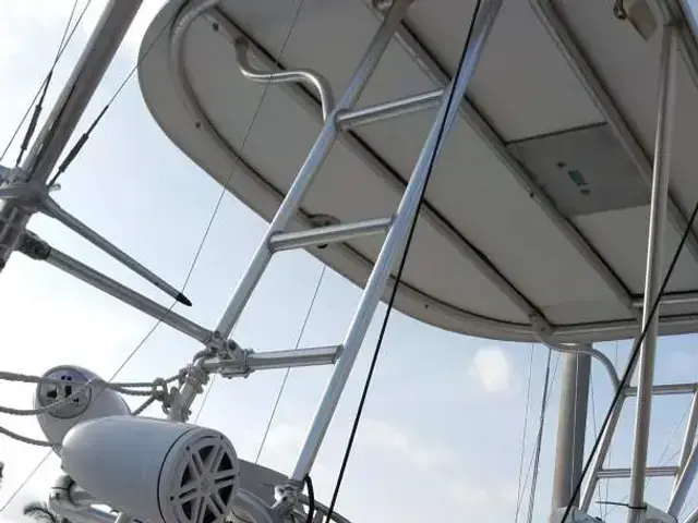 Luhrs 31 Open