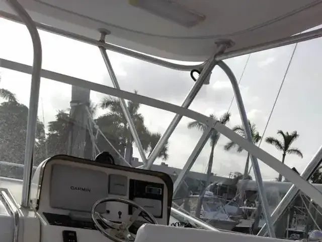 Luhrs 31 Open