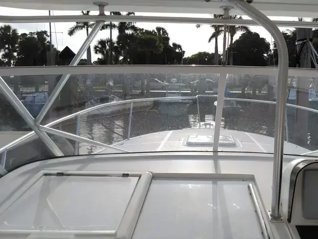 Luhrs 31 Open