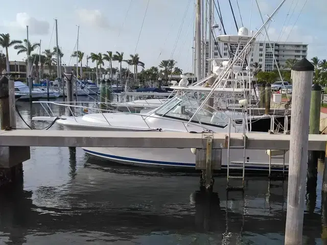 Luhrs 31 Open