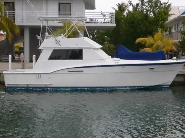 Hatteras Convertible Sportfish