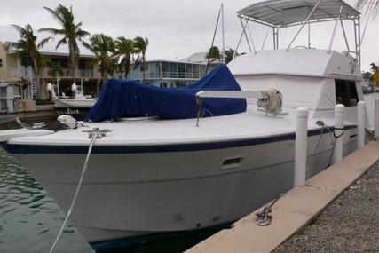 Hatteras Convertible Sportfish