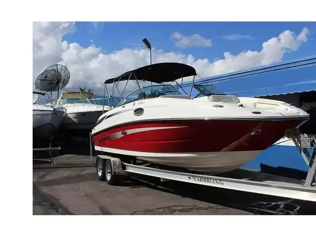 Sea Ray Sundeck 260