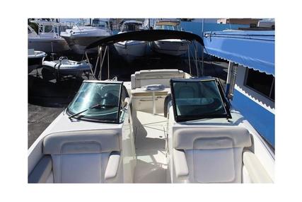 Sea Ray Sundeck 260