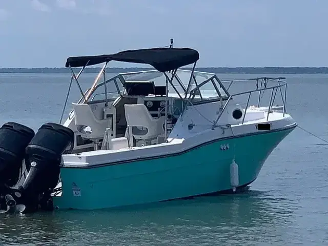 Robalo 2660 wa