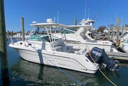 Robalo R305 Walkaround