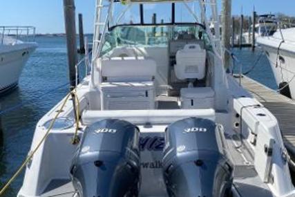 Robalo R305 Walkaround