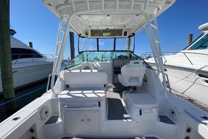 Robalo R305 Walkaround