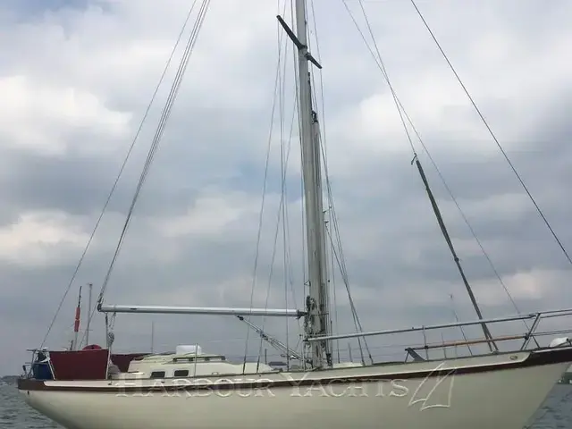 Tradewind 35