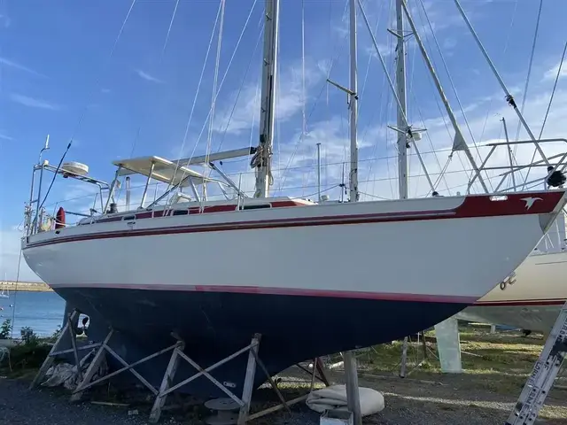 Skua 36