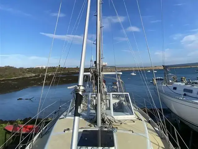 Skua 36