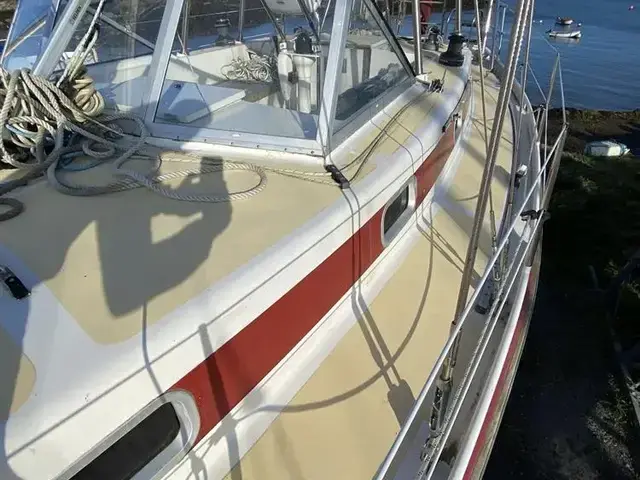 Skua 36