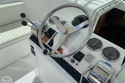 Luhrs 32 Open