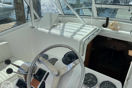 Luhrs 32 Open