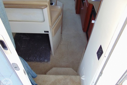 Bayliner Ciera 288 Command Bridge