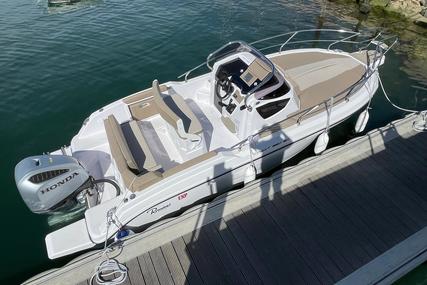 Ranieri Sundeck Next 220 SH