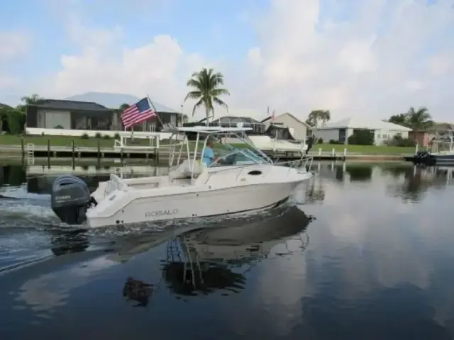 Robalo R 265 Walkaround