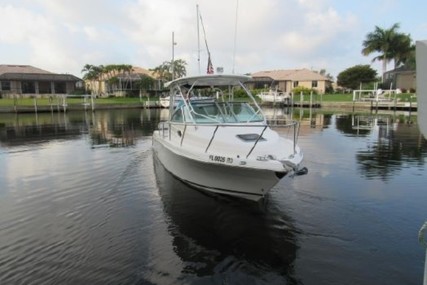 Robalo R 265 Walkaround