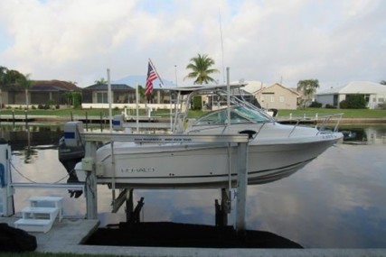 Robalo R 265 Walkaround