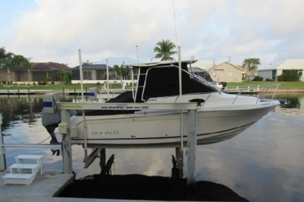 Robalo R 265 Walkaround