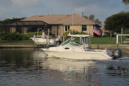 Robalo R 265 Walkaround