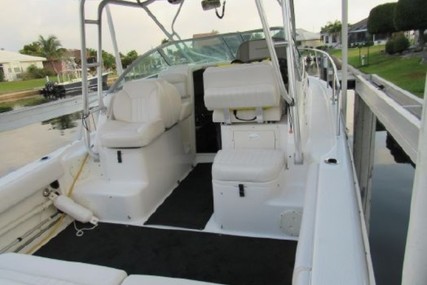 Robalo R 265 Walkaround