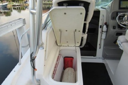 Robalo R 265 Walkaround