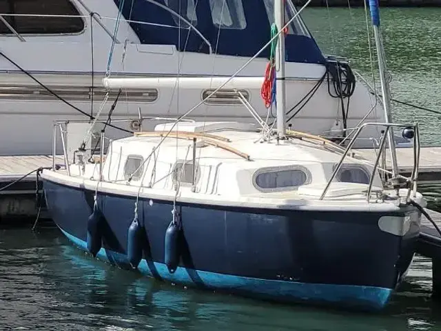 Kingfisher 20