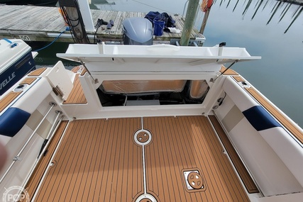 Robalo R247 DC