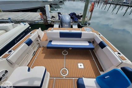 Robalo R247 DC