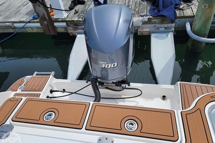 Robalo R247 DC