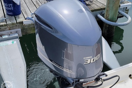 Robalo R247 DC