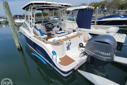 Robalo R247 DC