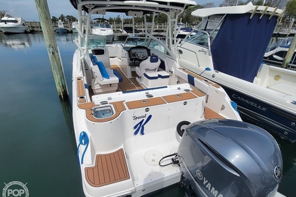 Robalo R247 DC